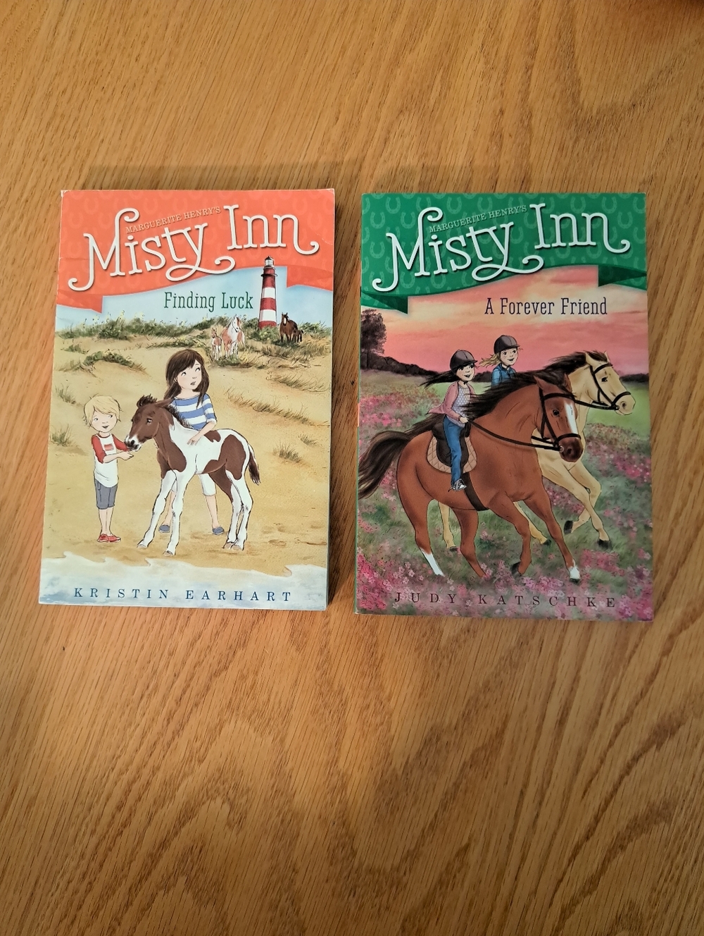 Set Of 2 Misty Inn Kids Chapter Books